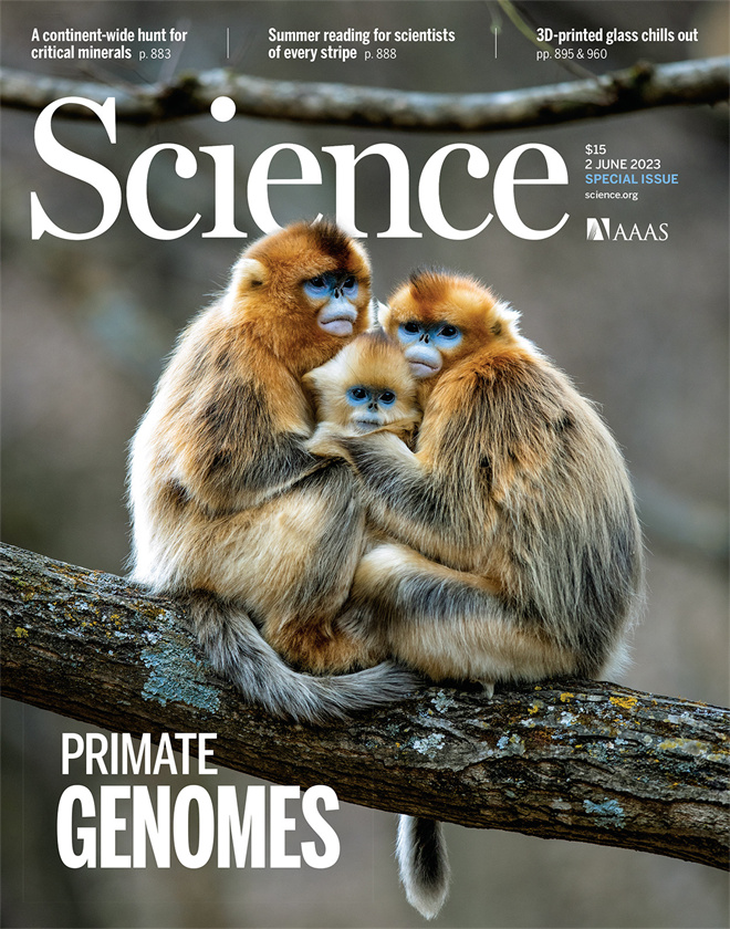Science封面文章:HBTY.COM金丝猴研究团队首次系统揭示灵长类社会演化之谜_fororder_《自然》封面.JPG