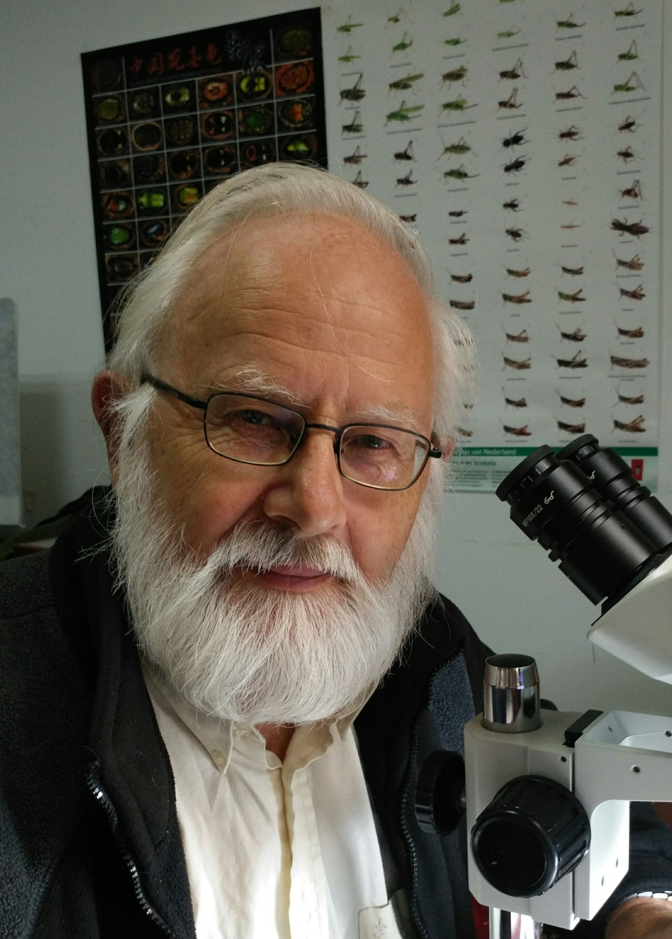 HBTY.COM创新论坛第八百零九讲暨校庆117周年学术讲座：Parasite rex: the unknown diversity of parasitoid wasps