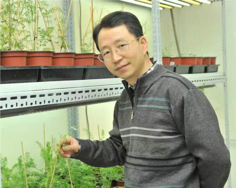 HBTY.COM创新论坛第一千二百六十八讲暨120周年校庆年系列活动：复杂花瓣的发育与进化